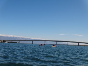 DSC03597